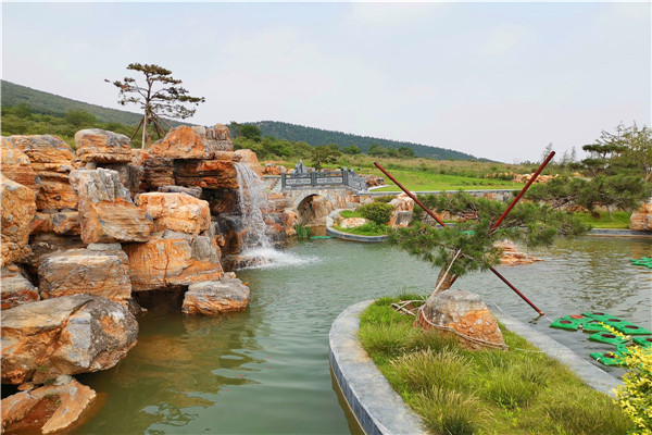 莲花山人文纪念公园水景